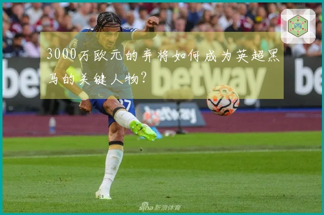 3000万欧元的弃将如何成为英超黑马的关键人物？