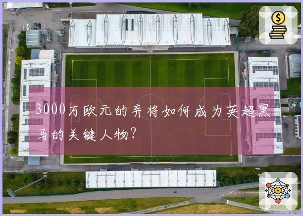 3000万欧元的弃将如何成为英超黑马的关键人物？